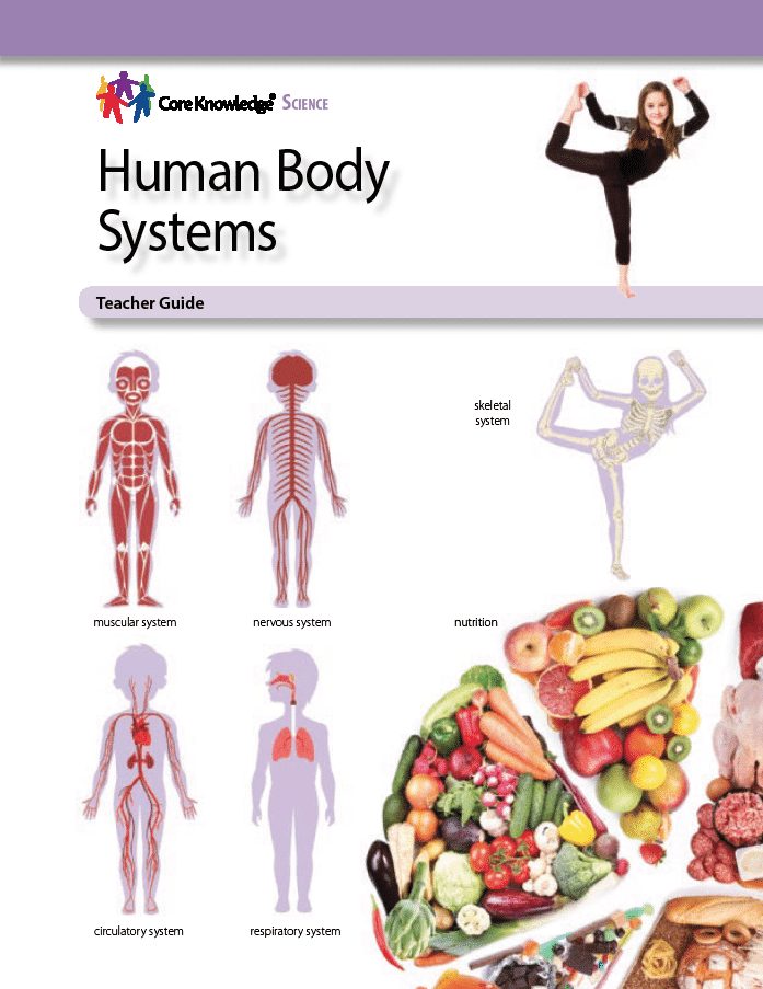 Human Body and Health for Class 5